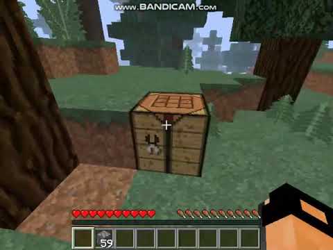 Minecraft გადარჩენა # 1 ქვის იარაღები და ცოტა ხე