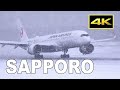 [4K] 35 Jets in Heavy Snow! Winter Plane Spotting at Sapporo New Chitose Airport / 新千歳空港 JAL ANA