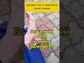 Состояние сухожилий — это отражение работы печени