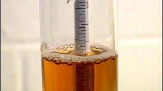 How to Use a Hydrometer for Homebrewing