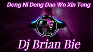 Deng Ni Deng Dao Wo Xin Tong   等 你 等 到 我 心 痛 Remix By Dj Brian Bie