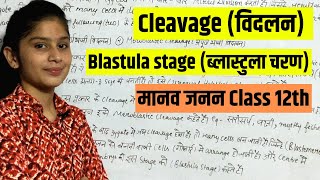 What is Cleavage, What is Holoblastic Cleavage, What is Meroblastic Cleavage, What is Blastula Stage