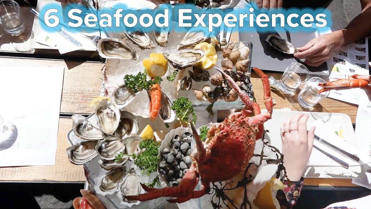 6 Incredible Seafood Experiences YouTube