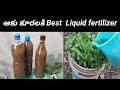 ఈ ఒక్క fertilizer ఇవ్వడం వల్ల ఆకు కూరలు విపరీతం గా వస్తాయి 
