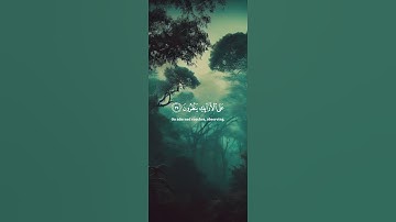 تلاوه من سوره المطففين للقارئ محمد اللحيدان.