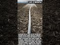 물 뿌리는 농업용 파이프의 마법 #worker #process #irrigation #farming #agriculture