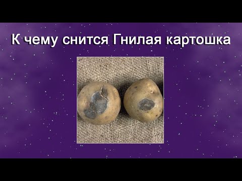 К чему снится Гнилая картошка – толкование сна по Соннику