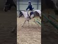 Our show yesterday unfortunately it wasn’t our day woodie didn’t seem to comfortable! #horse #equine