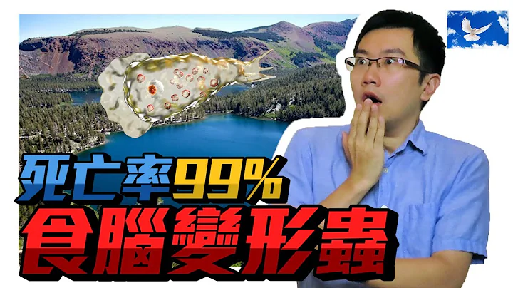 寄生虫界的魔王「食脑变形虫」，感染人体致死率99% | 苍蓝鸽聊医学EP107 - 天天要闻