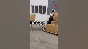 how to organize efficient unloading from container #conveyor #unloadingtruck