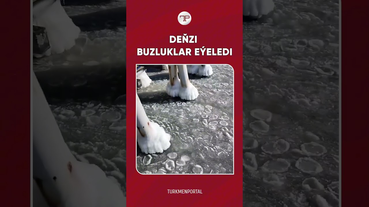 DEŇZI BUZLUKLAR EÝELEDI