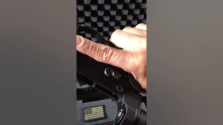 Battle Arms Development Safety Demo