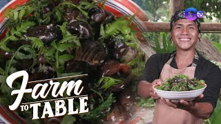 Farm To Table:  Ginataang Suso at Pako ala Chef JR Royol