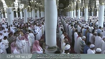 سورة الغاشية | عبدالله البعيجان