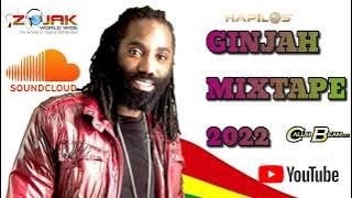 Ginjah Mixtape 2022 | Ginjah Reggae Mix 2022