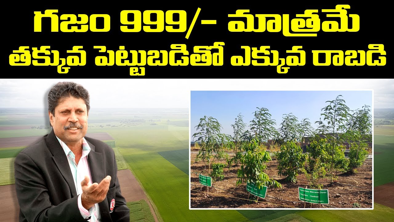 Farm Land Plots For Sale in Narayankhed, Sangareddy District