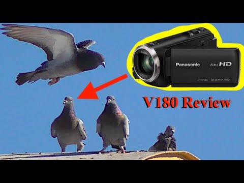 Best Zooming Cheap Camcorder - Panasonic V180 Review
