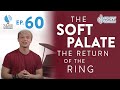 Ep 60 The Soft Palate The Return Of The Ring Voice Lessons To The World Ep 60 The Soft Palate The Return Of The Ring Voice Lessons To The World