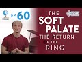 Ep. 60 "The Soft Palate - The Return of The Ring" - Voice Lessons To The World