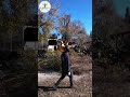 Crane Tree Removal in Orlando - Kevin's Tree Service