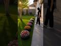 🌸 Tire Planter Garden Makeover ✨🌿 #GardenIdeas #DIYGarden #BackyardDesign