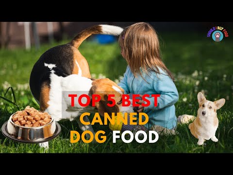 Video: Canned Food Puppy Diet