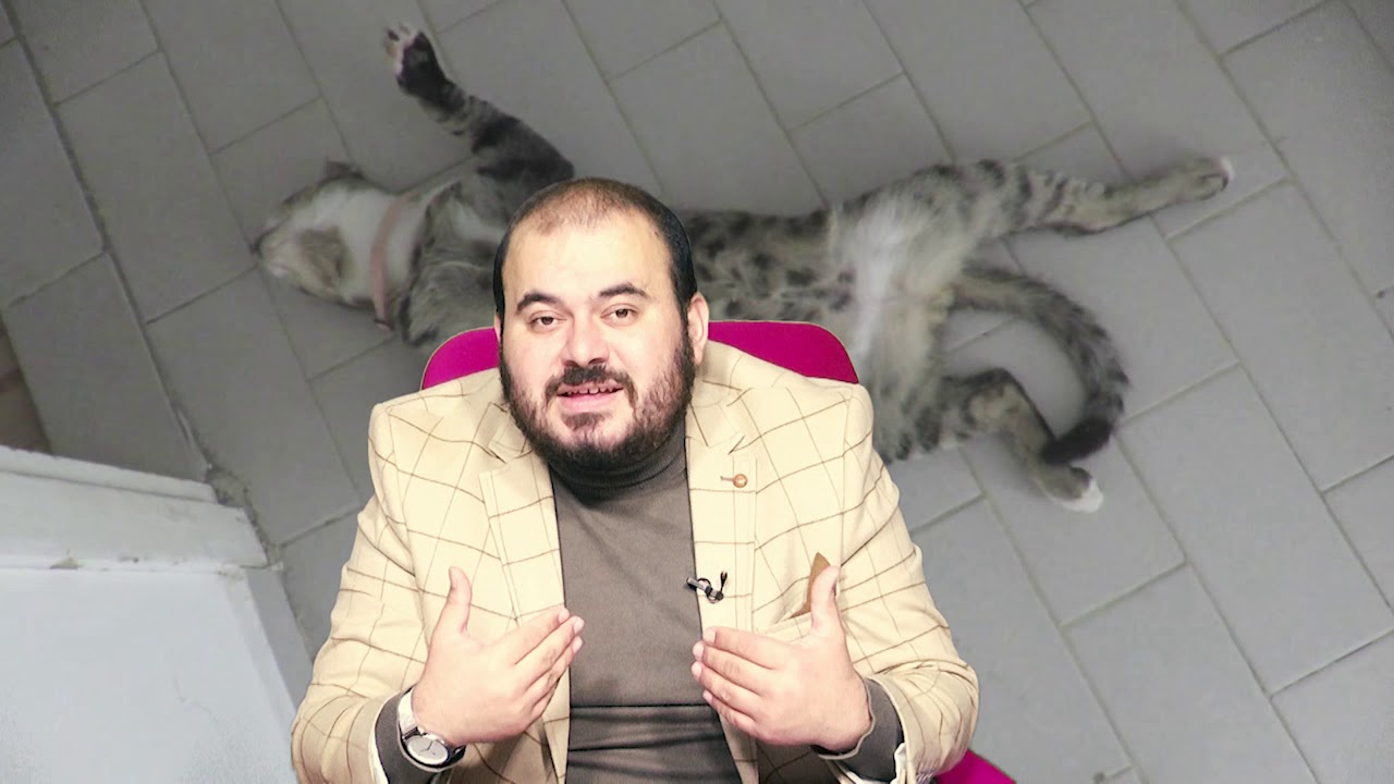 Ruyada Kedi Oldurmek Gormek Nedir Ruyada Kedi Oldurdugunu Gormek Ne Anlama Gelir Youtube