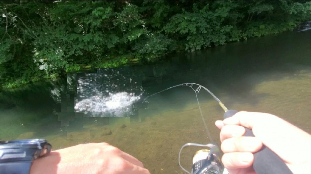 最強の大物釣り師が誰なのかハッキリさせてきた【管釣り大会】【エリアトラウト】