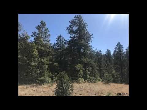 2614 Autumn Creek Dr, Canon City, CO home video tour