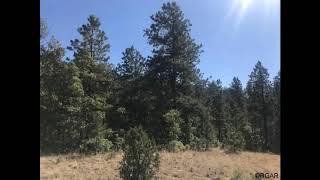 2614 Autumn Creek Dr video tour