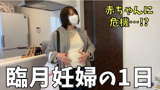 臨月妊婦の1日 出産間近 検診で赤ちゃんの様子が 涙 妊娠生活 Youtube