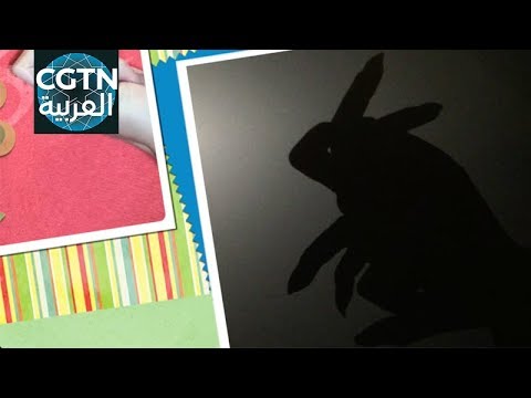 تعليم فن ظل اليد