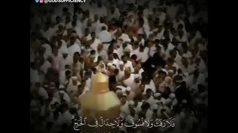 { الحج أشهر معلومات } القارئ فهد البواردي