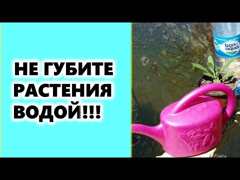 Video: Лоджиядагы күнөскана - аны өзүңүз жасаңыз