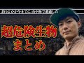 釣りよかが今までに遭遇した超危険生物まとめ