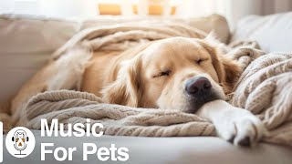 48 HOURS of Dog Music - Anti Anxiety Boredom Busting with Soothing Music to Calm Down, Relax & Sleep by For Your Pets 1,476 views 2 weeks ago 48 hours