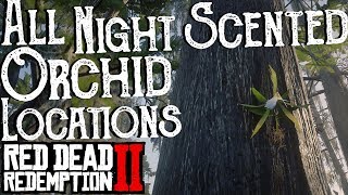 Red Dead Redemption 2 - All 10 Night Scented Orchid Locations (Duchesses and Other Animals) Exotics