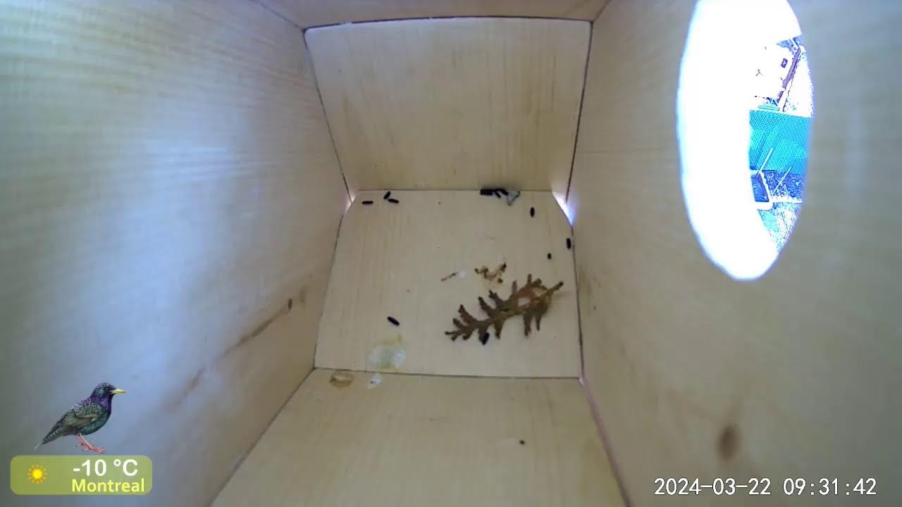 Second building material