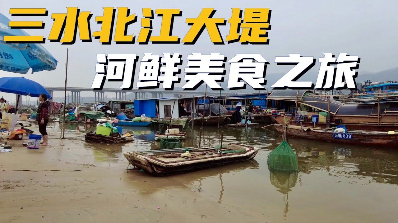 【广州漫步粤菜美食】三水北江大堤河鲜美食之旅｜河虾｜淡水贝｜黄沙蚬｜臭屁醋｜渔船｜河鲜加工｜河鲜市场 Walk in GuangZhou [粤语中文字幕]   [subtitle]