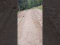 Got my next row tamped down on 1 side and sifted the rocks out of it