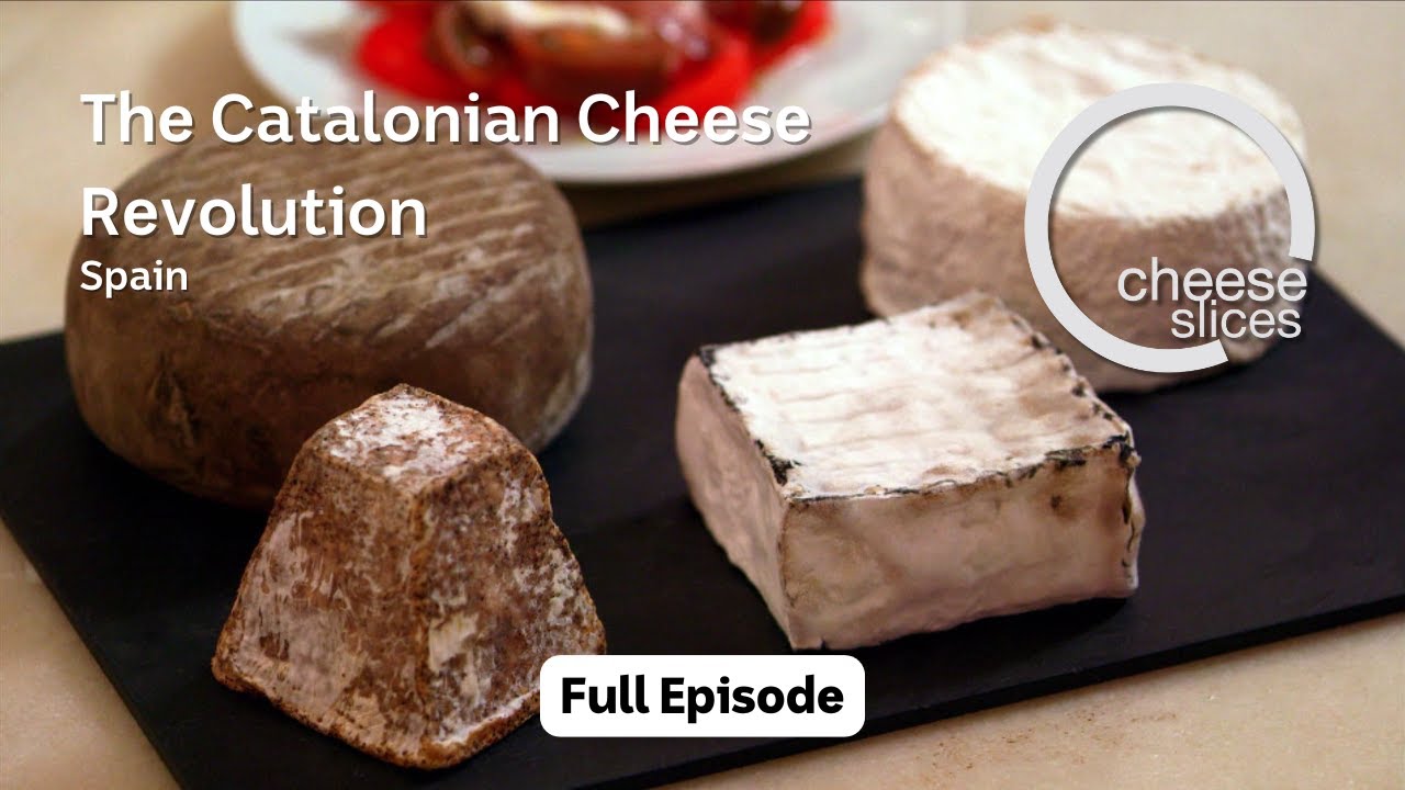 Каталонская сырная революция – Испания – Сырные ломтики с Уиллом Стаддом