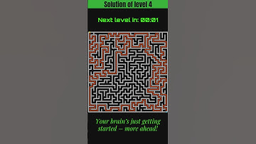 Can You Solve 6 Insane Maze Puzzles in 60 Seconds? 🧩🔥