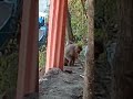 Like and subscribe for more videos