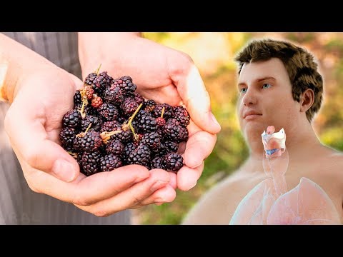 5 Reasons Why Blackberries Are Among the Healthiest Foods on Earth