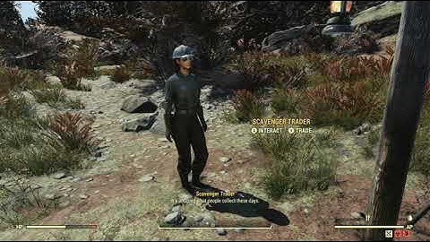 *Scavenger Trader (Food)* - Fallout 76 Random Encounter