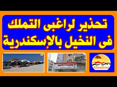 شاطئ النخيل بالإسكندرية كيف تشترى شقة بشكل يحفظ حقك القانوني معلومات هامة