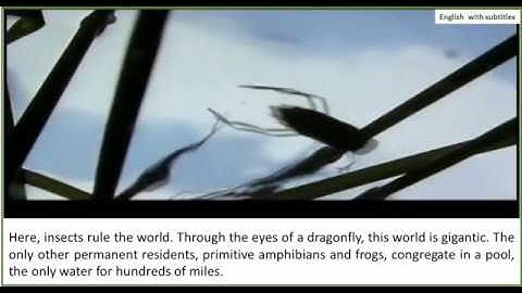 Learn English through documentaries Dinosaurs