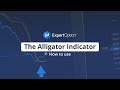 Alligator Indicator | Trading Education | ExpertOption®