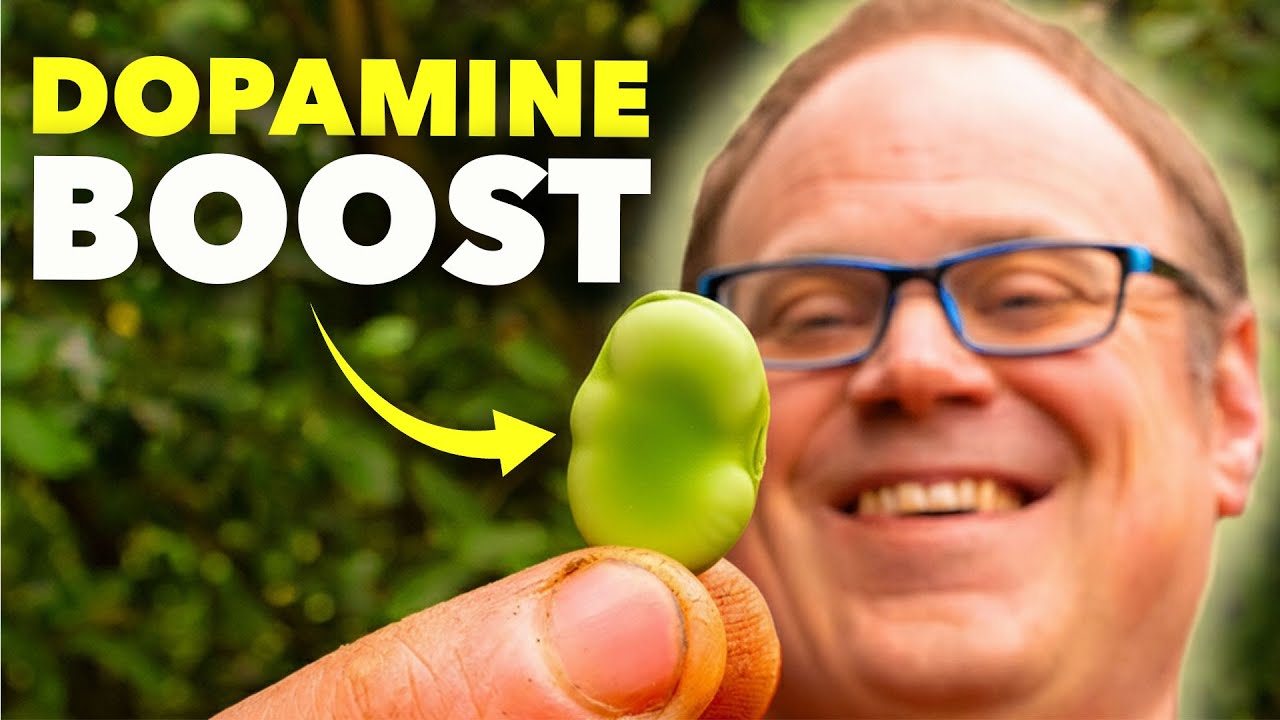 This Ancient Anti-Depressant Can be Grown in Every Garden thumbnail