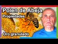 POLEN DE ABEJA 🐝  Propiedades, Beneficios y Cómo consumirlo 💚